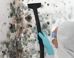 Why You Should Choose Our Mold Remediation Services in Bakersfield, CA